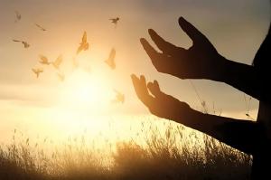 تقدیر الهی چگونه با اختیار جمع می‌شود؟
